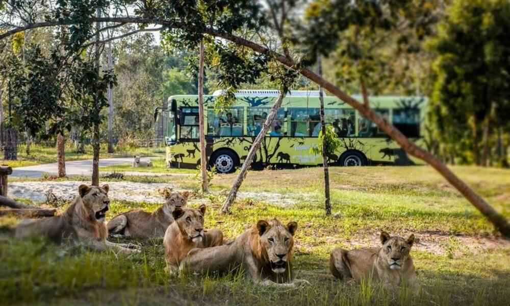 Vinpearl Safari – Công viên bảo tồn động vật bán hoang dã lớn nhất Việt Nam