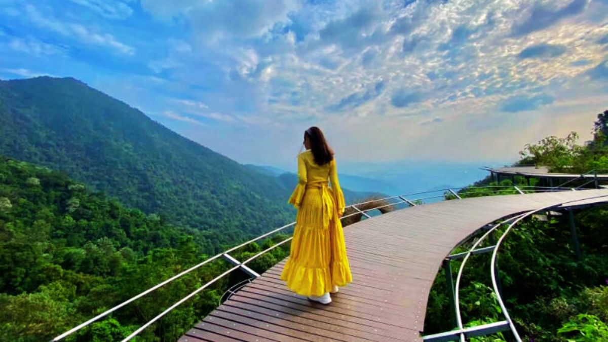 Cầu mây Tam Đảo: Góc sống ảo triệu view 2025 | Xanh SM