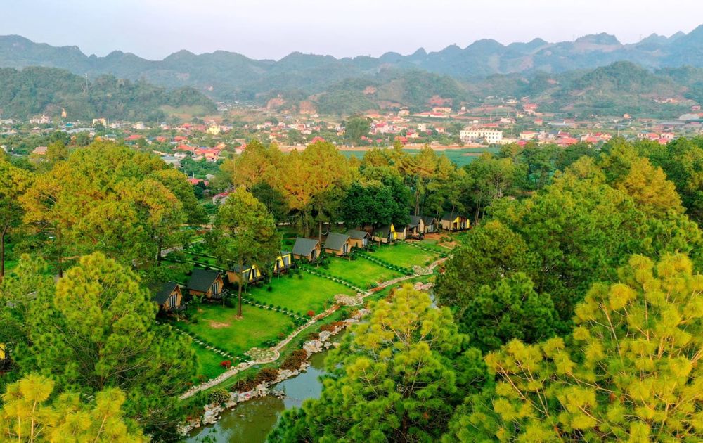 Toàn cảnh rừng thông Bản Áng (Ảnh: Phoenix Mộc Châu Resort)