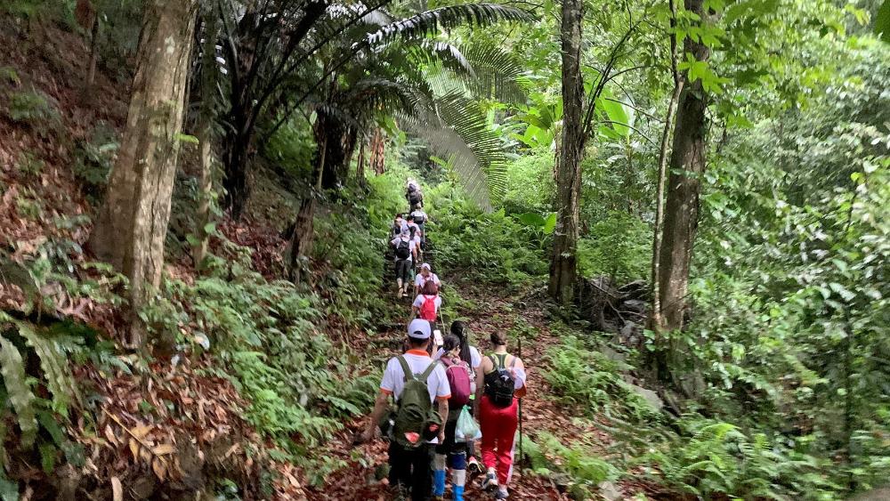 Trải nghiệm trekking tại Vườn quốc gia Tam Đảo (Ảnh: Báo Hanoimoi)