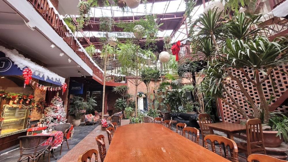 Không gian với nhiều cây xanh của Indoor cafe Tây Sơn