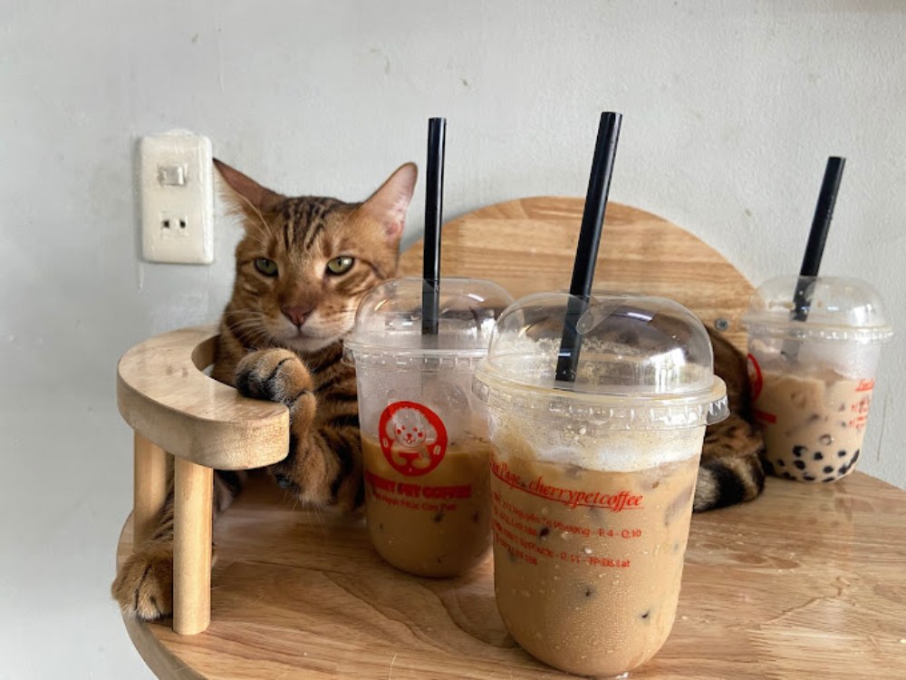 Nước uống đa dạng từ cafe, trà sữa đến sinh tố (Ảnh: Sưu tầm Internet)