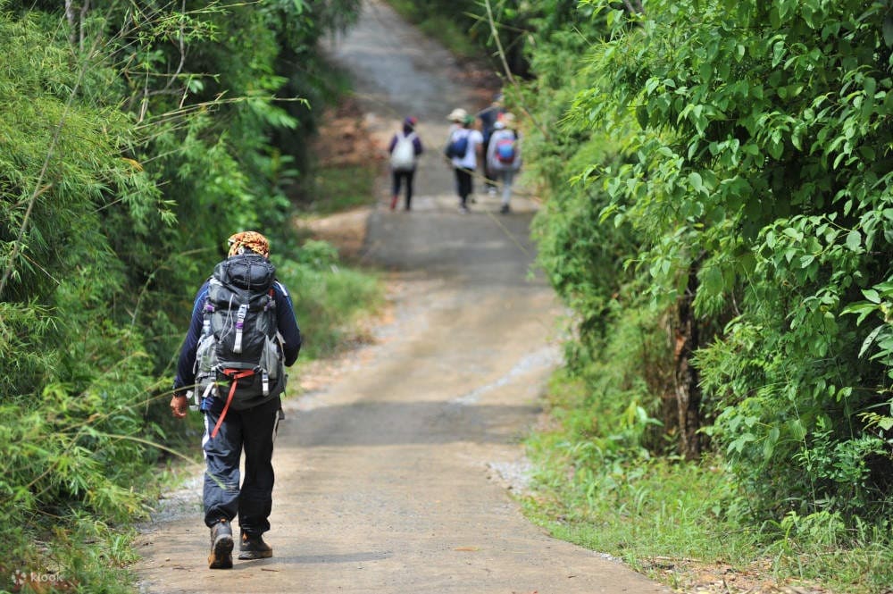 Hành trình trekking núi Dinh là lời mời gọi dành cho những tâm hồn yêu thiên nhiên (Ảnh: Sưu tầm Internet)