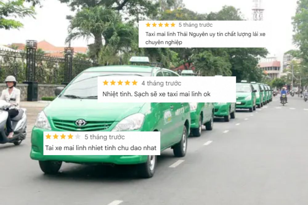 Một vài đánh giá về dịch vụ của taxi Mai Linh trên Google Maps (Ảnh: Sưu tầm Internet)