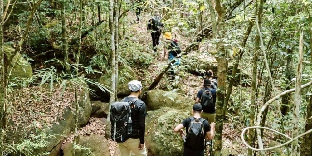 Trekking xuyên rừng là một trải nghiệm mà bạn không nên bỏ lỡ 