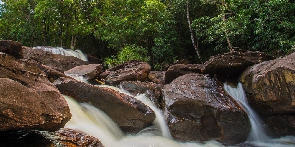 Suối Đá Bàn sở hữu cách rừng nguyên sinh xanh tươi và trong lành