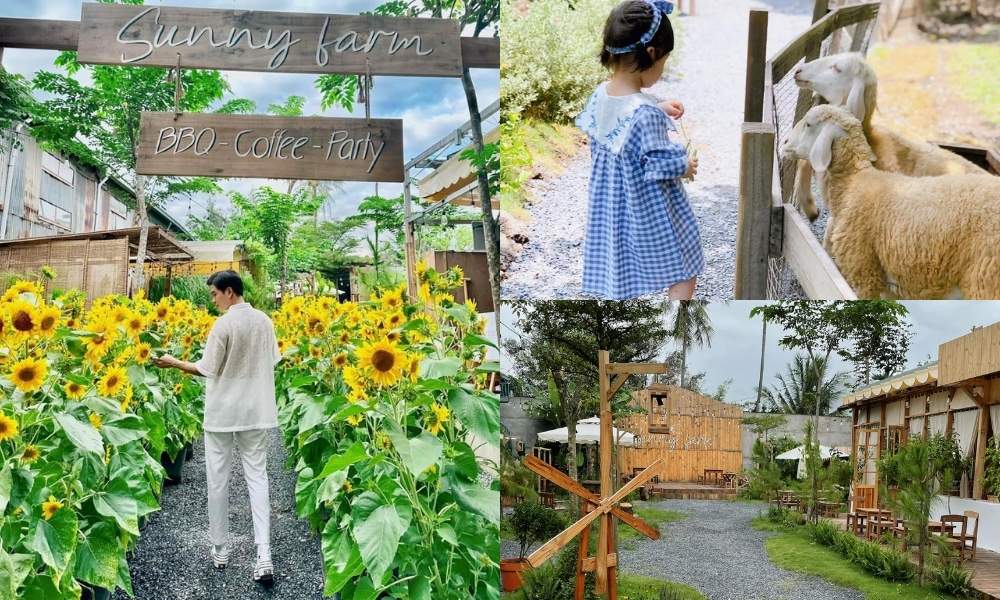 Sunny Farm là địa điểm vui chơi, giải trí lý tưởng dành cho gia đình