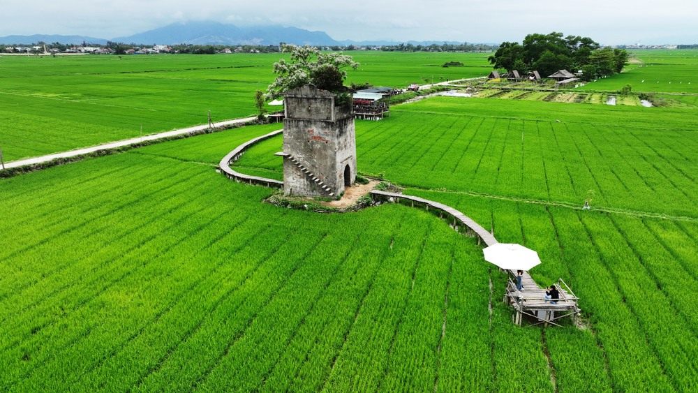 Lò gạch rêu phong nổi bật giữa cánh đồng xanh mướt, góc chụp ảnh “chất lừ” (Ảnh: Sưu tầm Internet)