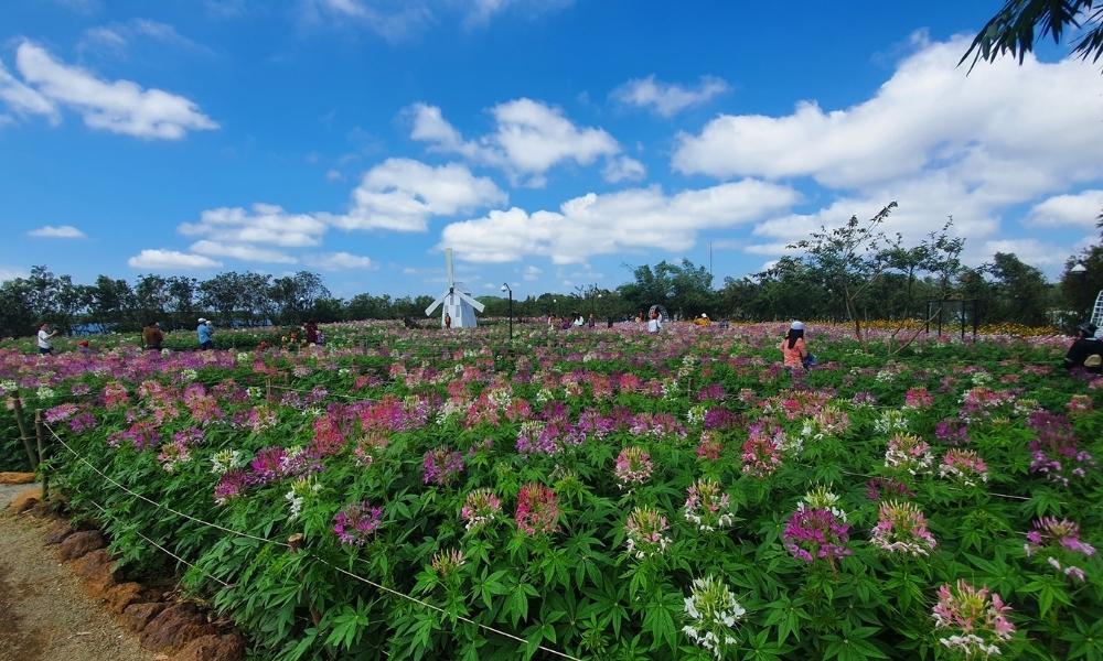 Long Vân Garden là điểm dừng chân lý tưởng cho những ai muốn khám phá vẻ đẹp của cao nguyên