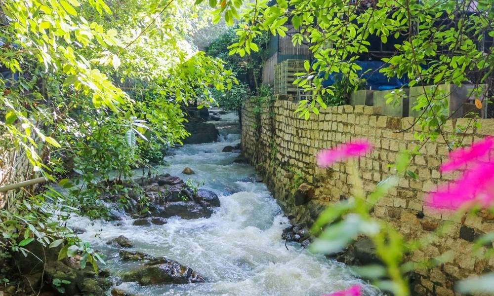 Không gian bình yên dưới mái chùa Phật Quang Vũng Tàu