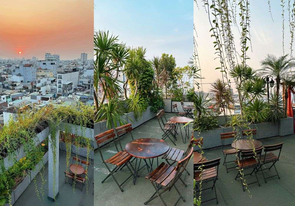 Cây xanh được trồng nhiều góc tại Lang Thang Rooftop (Ảnh: Lang Thang Rooftop)