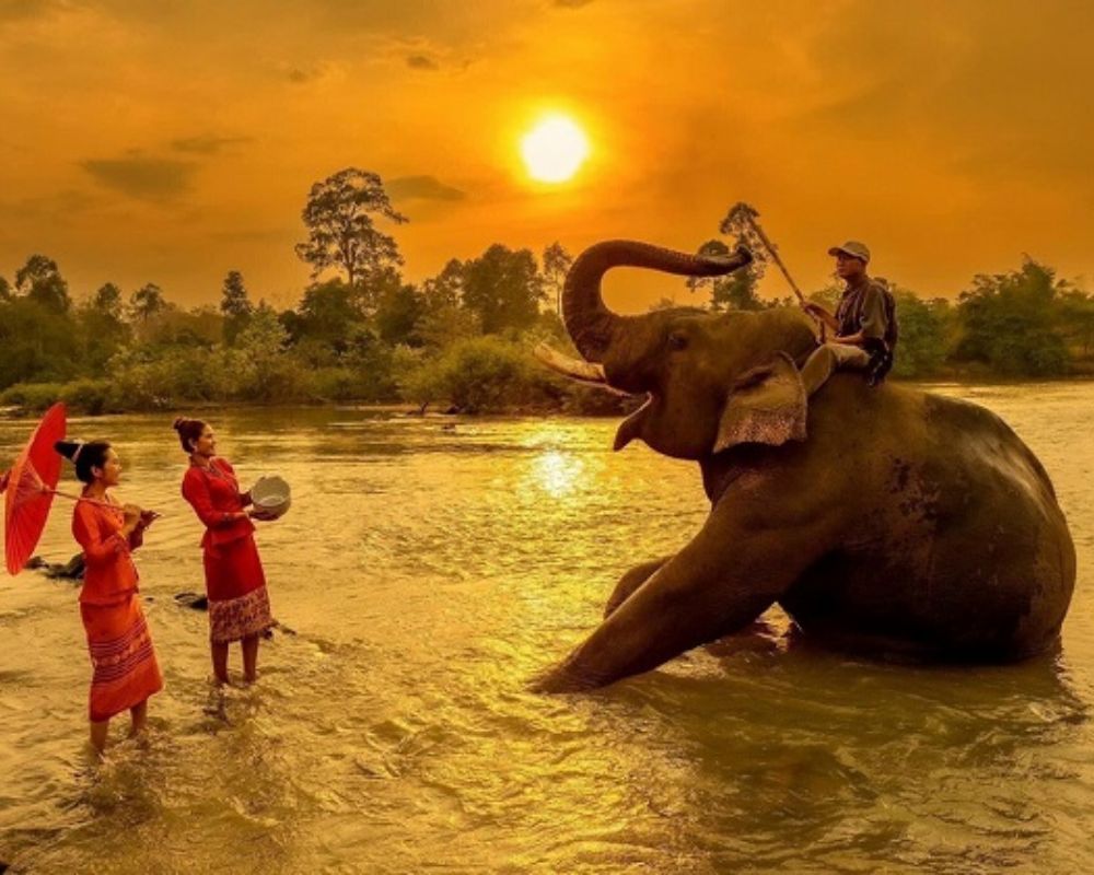 Du khách có thể tìm hiểu cuộc sống của những nài voi khi khám phá khu du lịch Buôn Đôn (Ảnh: VietNam Booking)