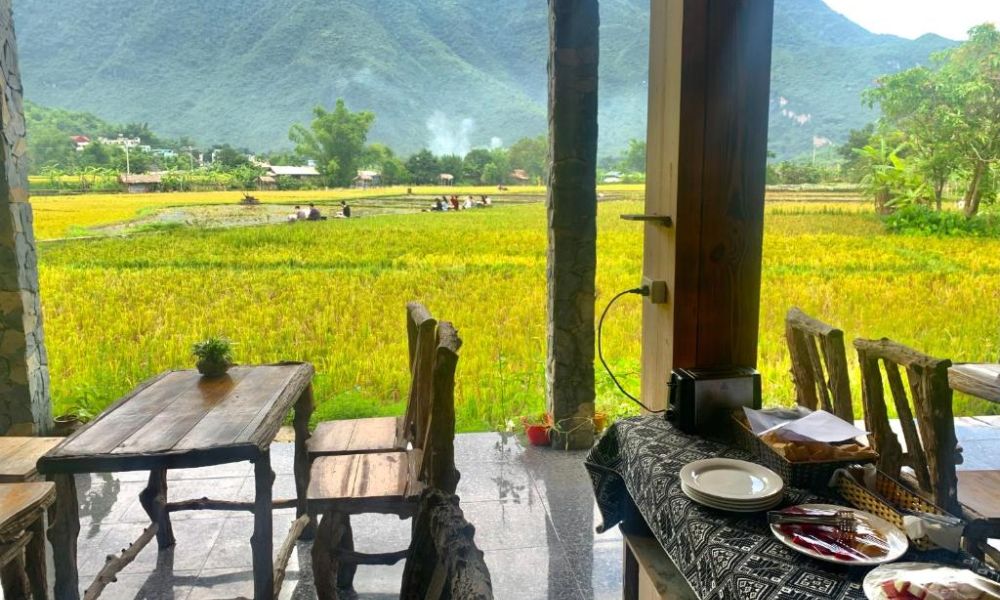 Homestay mang lại không gian yên bình và thư thái cho khách lưu trú 