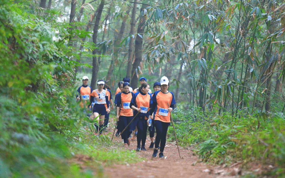 Trekking là một cách để bạn có thể ngắm nhìn thiên nhiên hồ Đồng Đò kĩ càng hơn (Ảnh: Sưu tầm Internet)