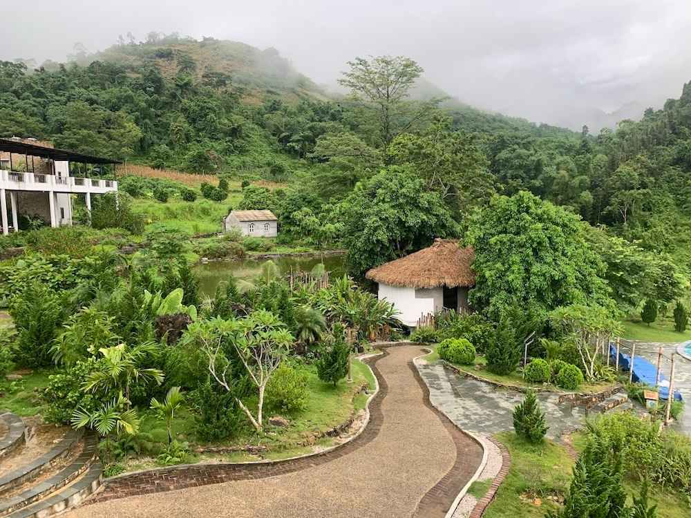 Lối đi vào phòng ngập tràn cây xanh 