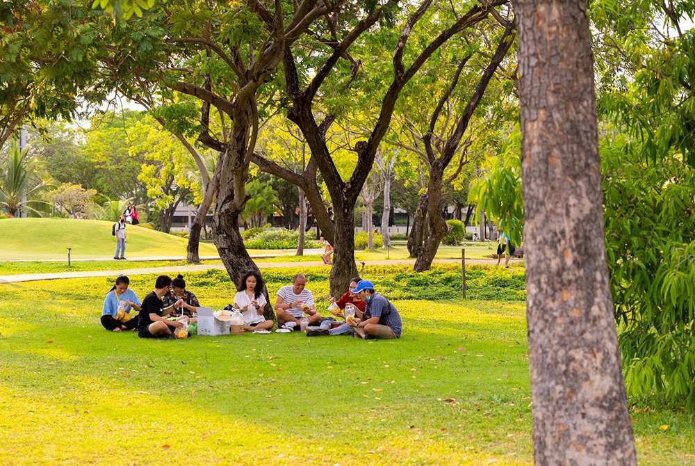 Tổ chức picnic, ăn uống cùng bạn bè tại công viên là hoạt động mà nhiều bạn trẻ ưa thích (Ảnh: Sưu tầm Internet)