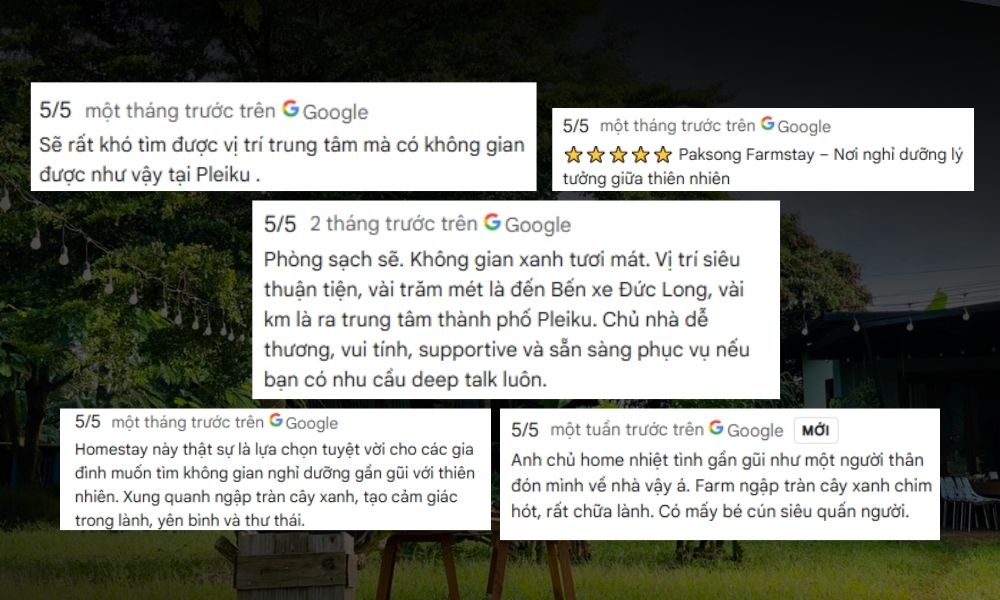 Nhiều khách hàng dành tặng lời khen ngợi cho Paksong Farmstay sau khi sử dụng dịch vụ (Ảnh: Sưu tầm Internet)