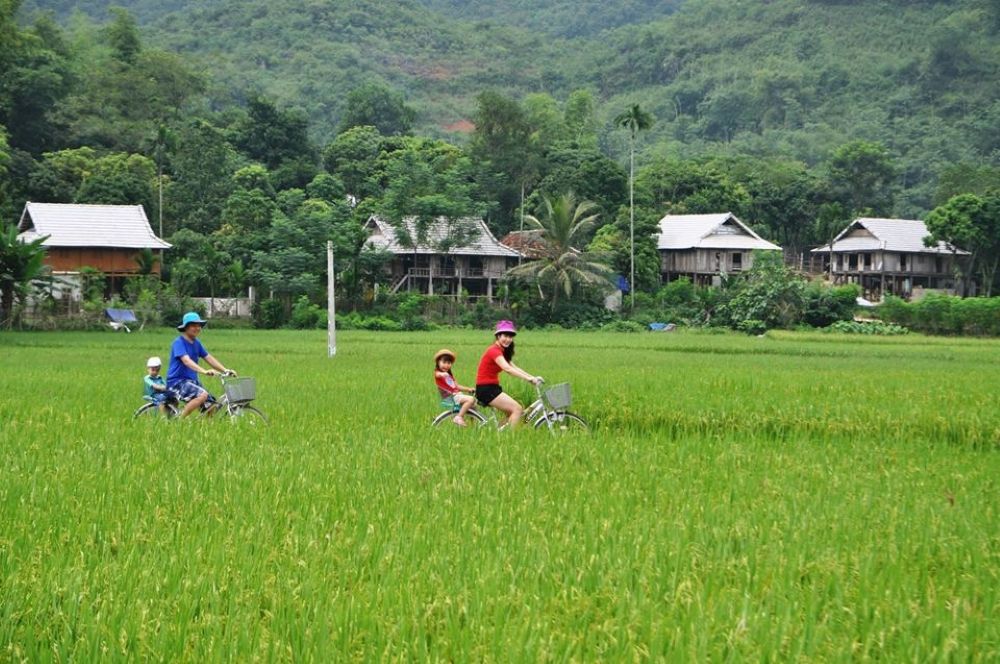 Du khách đạp xe quanh cánh đồng lúa ở Bản Lác 