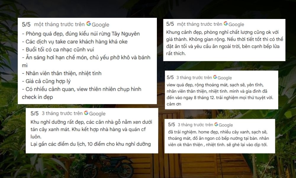 Những phản hồi chân thực của khách hàng sau khi trải nghiệm lưu trú tại Tiên Sơn Pleiku Homestay (Ảnh: Sưu tầm Internet)