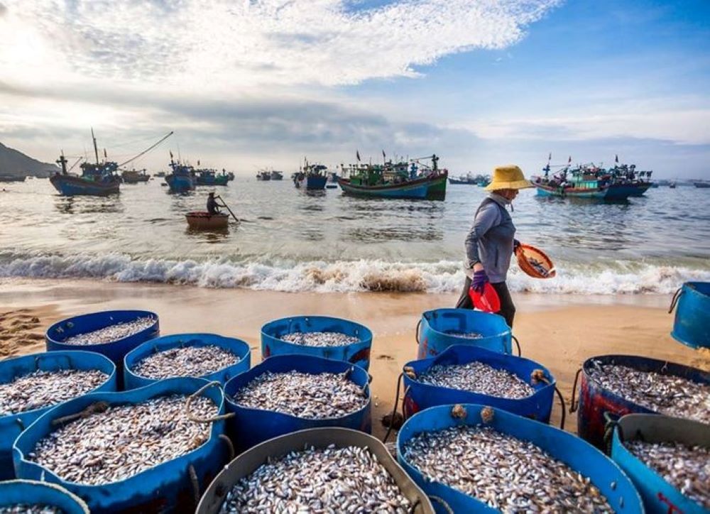 Bờ biển có bán rất nhiều hải sản tươi ngon, bạn có thể tha hồ lựa chọn và thưởng thức