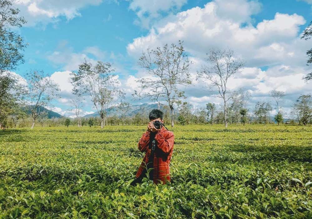 Đồi chè Gia Lai - điểm chụp hình lý tưởng cho giới trẻ và du khách yêu thiên nhiên (Ảnh: Sưu tầm Internet)