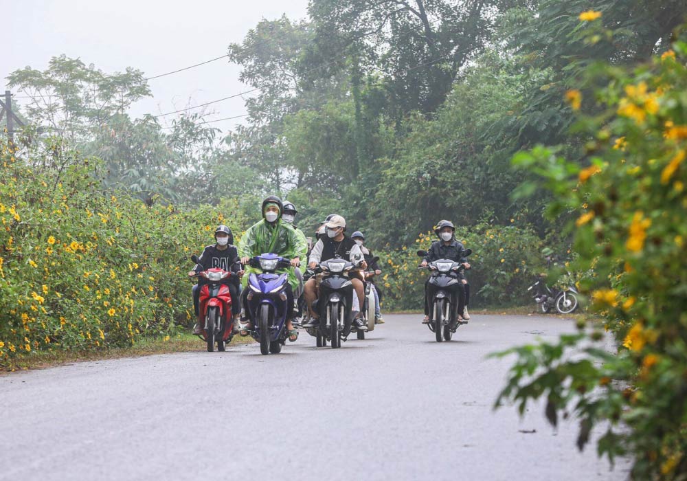 Đường lên Ba Vì resort rộng rãi và thông thoáng, tiện lợi cho nhiều loại phương tiện (Ảnh: Sưu tầm Internet)