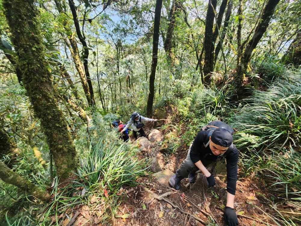 Trekking xuyên rừng tại Hố Trời (Ảnh: Sưu tầm Internet)