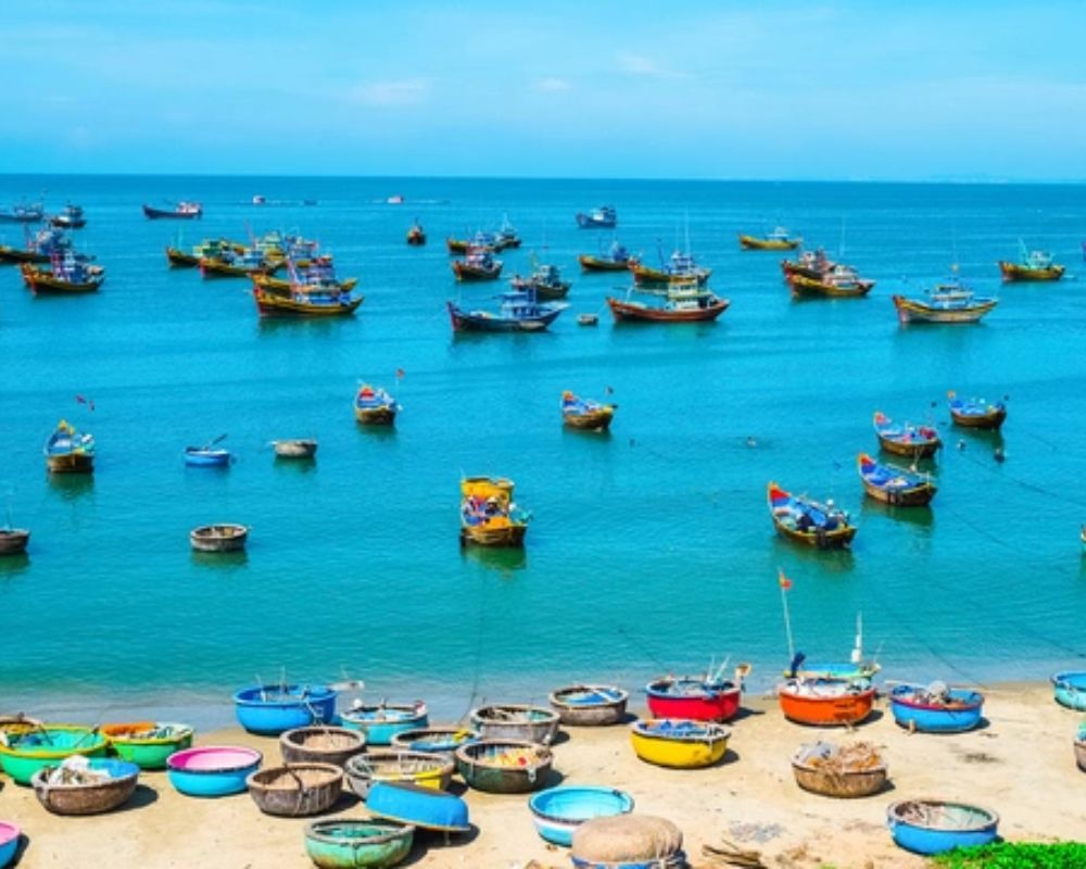 Du khách có thể cảm nhận rõ ràng nhất cuộc sống của ngư dân tại làng chài (Ảnh: Vnexpress.net)