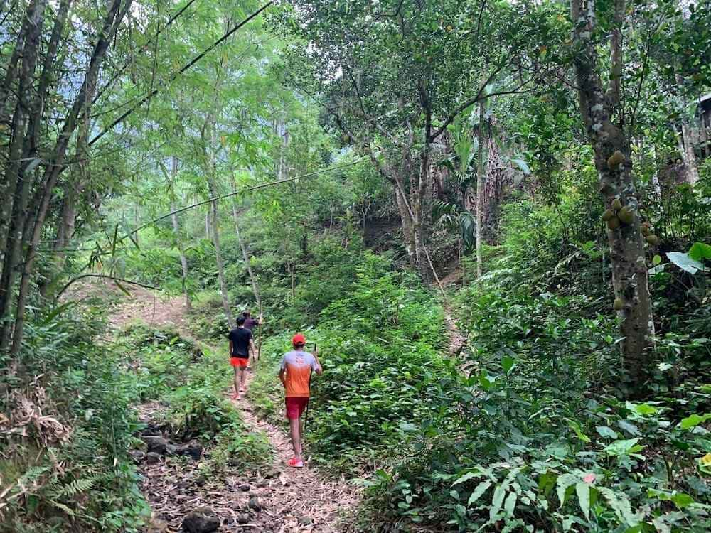 Du khách trekking chinh phục đồi Đồi Tây & Bản Mường 