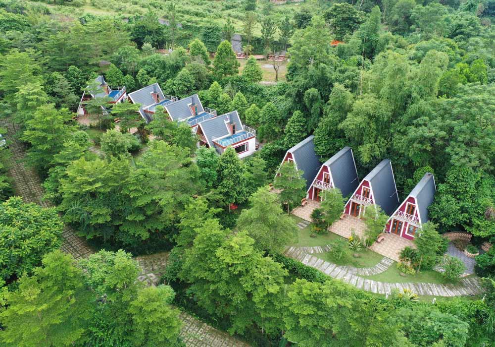  Homestay Hòa Bình - góc nhìn Furano Garden từ trên cao 