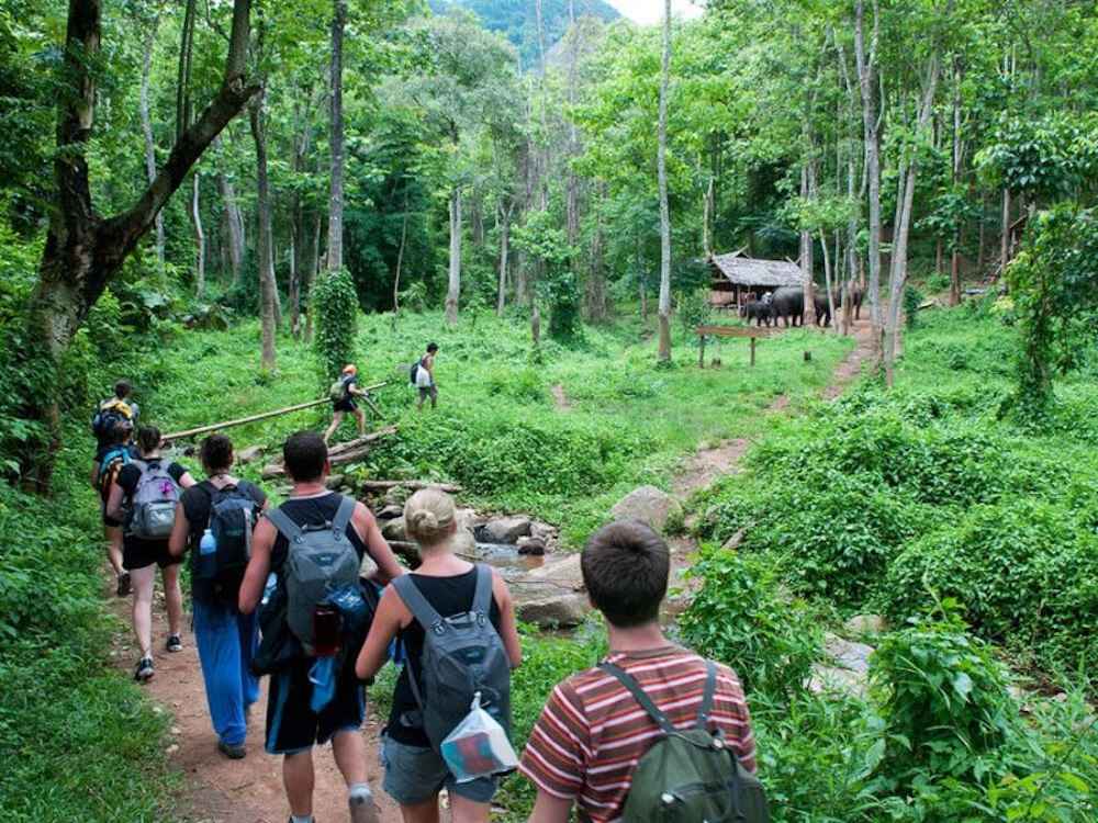 Du khách trekking băng qua những cung đường xanh ngát 