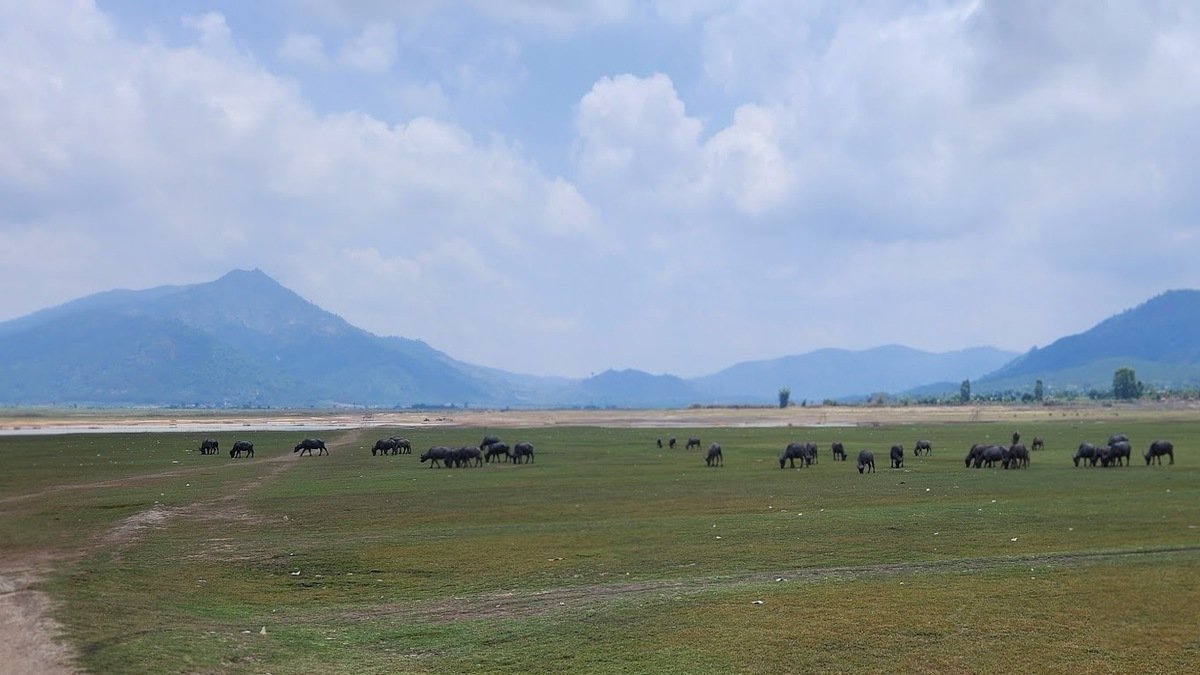 Bãi bồi Tiên Sơn