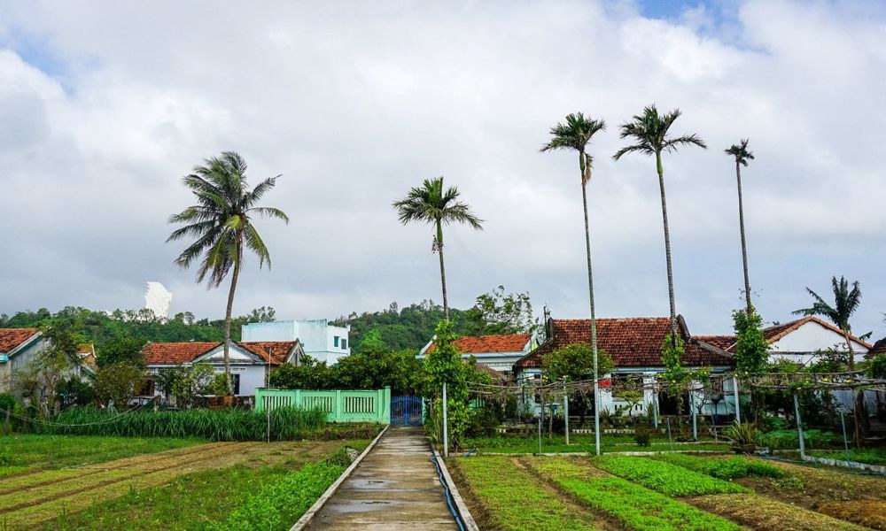 Khung cảnh thanh bình của làng rau Ngọc Lãng (Ảnh: Du Lịch Phú Yên)