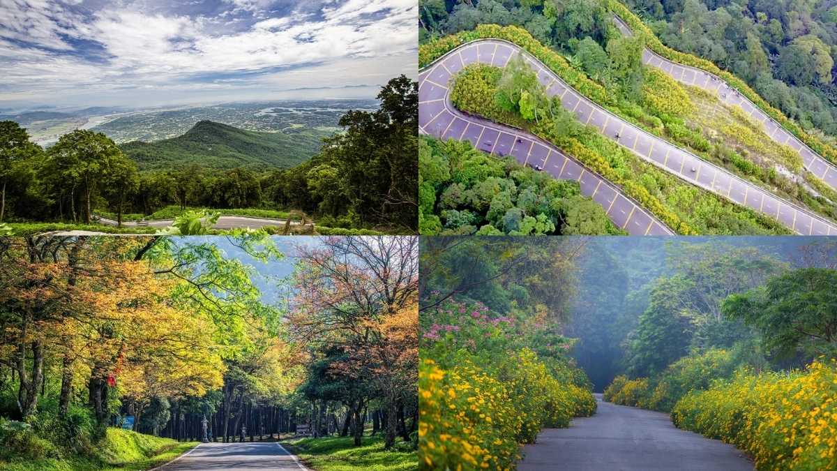 Vườn quốc gia Ba Vì: Điểm cắm trại, săn mây cực hot | Xanh SM