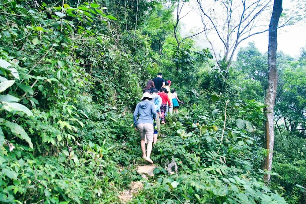 Khi tham quan Lũng Vân đừng bỏ qua hoạt động trekking xuyên núi rừng hùng vĩ 