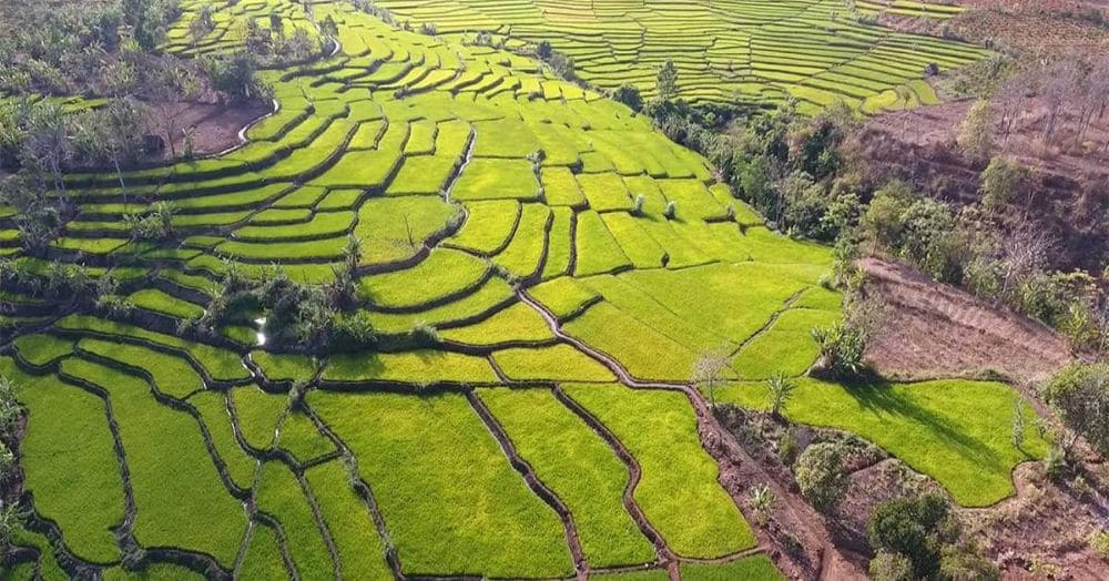 Các bạn có thể trekking khám phá các khu vực xung quanh (Ảnh: Sưu tầm Internet)