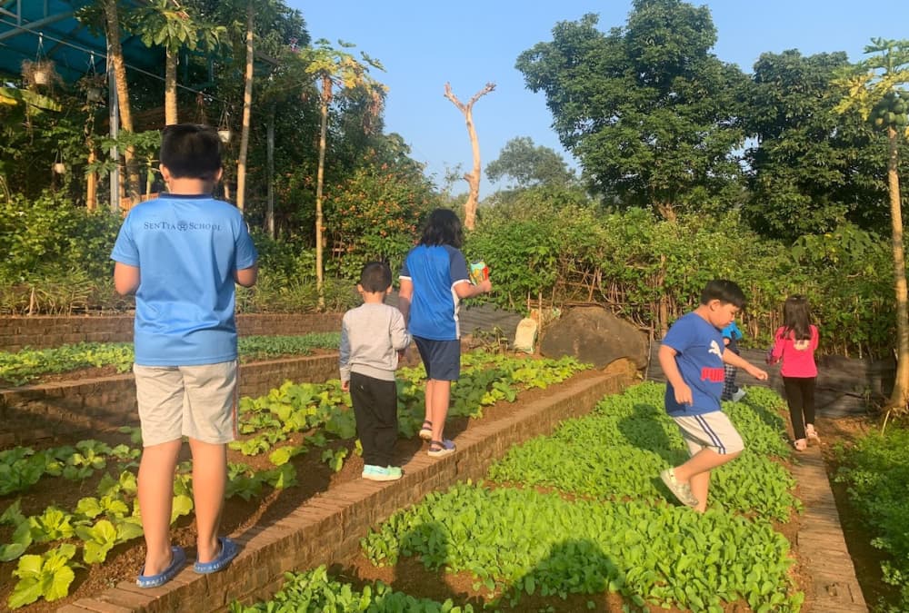 Các du khách nhí đang tham quan và vui chơi tại vườn rau Onsen Farm (Ảnh: Sưu tầm Internet)