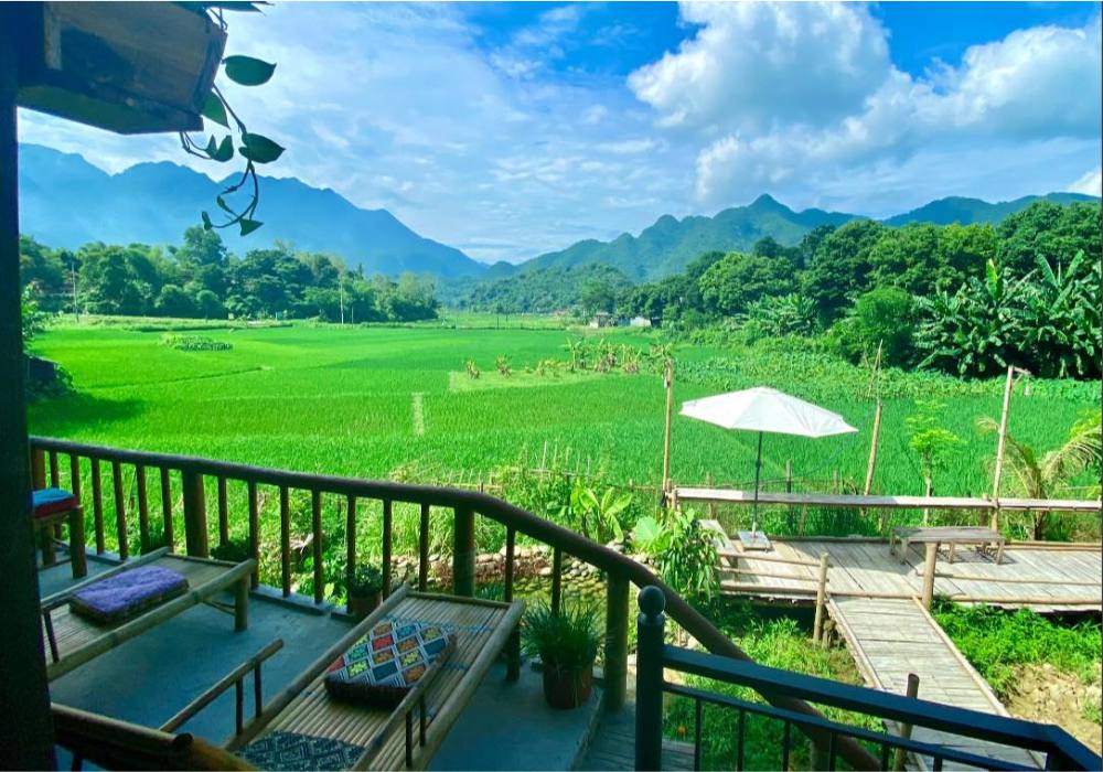 Homestay có view nhìn ra những cánh đồng lúa rộng mênh mông 