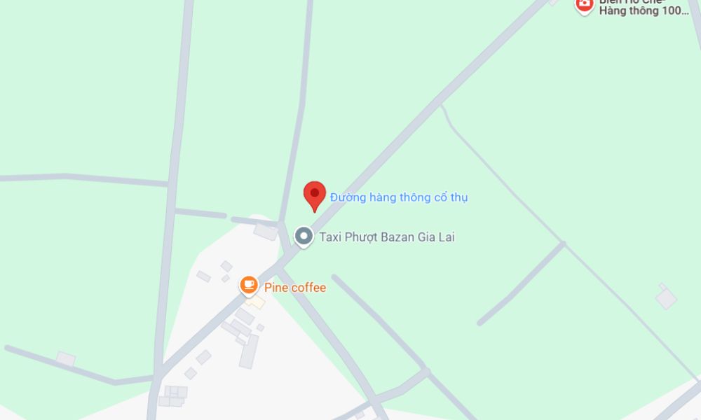 Hàng thông trăm tuổi biển Hồ Chè cách thành phố Pleiku khoảng 14km về phía Bắc