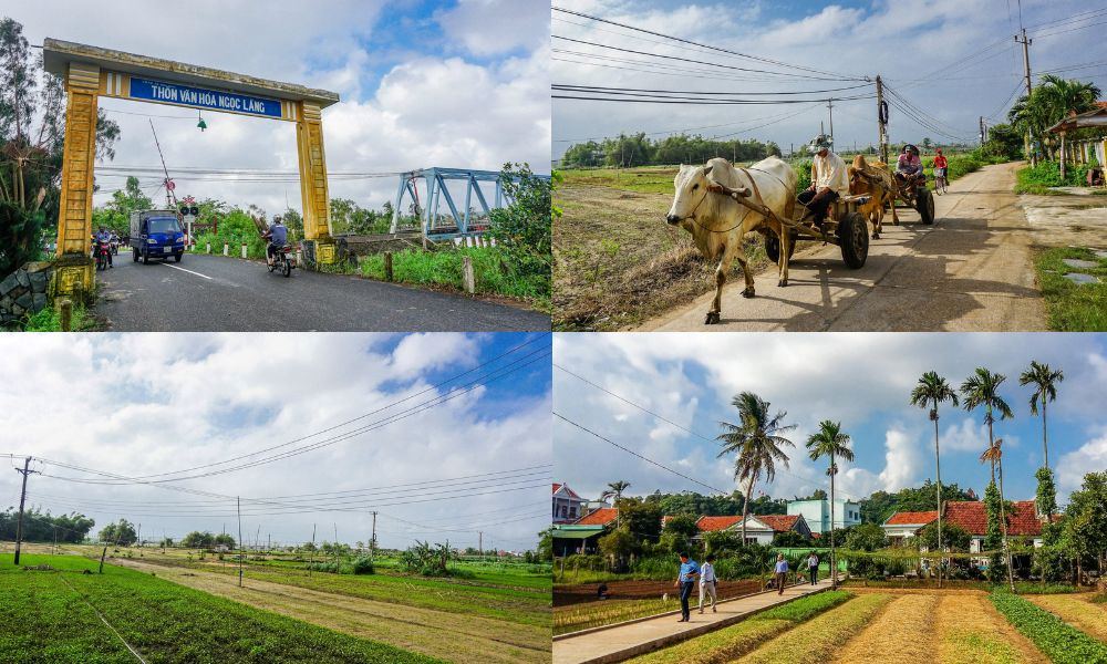 Du khách nên ghé thăm làng rau vào buổi sáng hoặc sau bốn giờ chiều (Ảnh: Du Lịch Phú Yên)