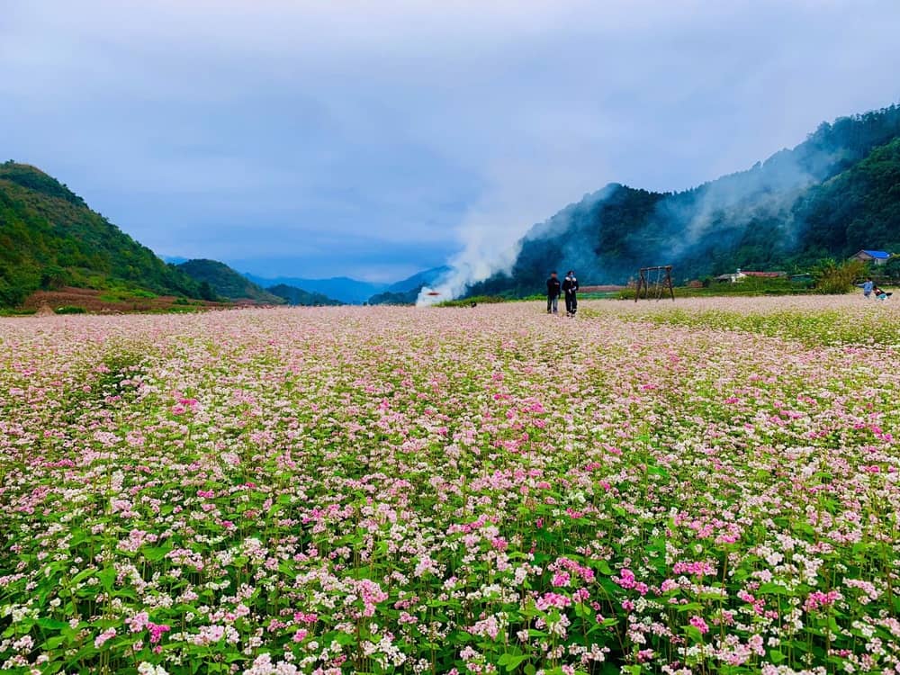 Thung lũng Sủng Là còn được mệnh danh là “bông hoa của thiên đường đá xám” (Ảnh: Sưu tầm Internet)