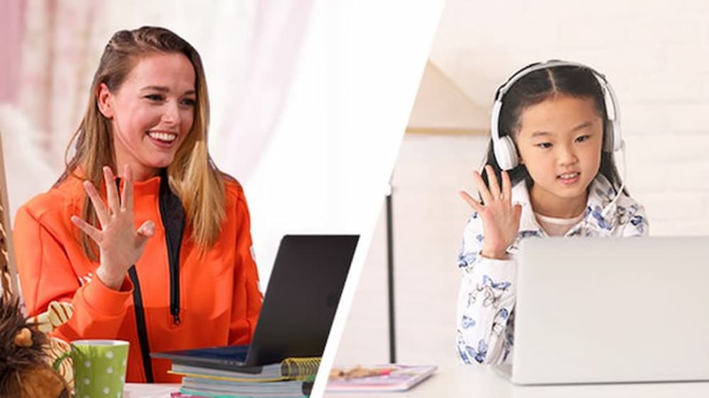 Gia sư online là công việc làm thêm tại nhà tiềm năng, thu nhập ổn định (Ảnh: Sưu tầm Internet)