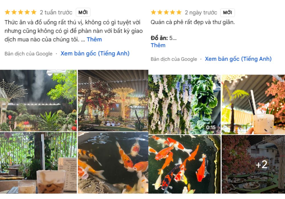 Những đánh giá tích cực từ khách hàng đối với King Koi Coffee Bình Tân