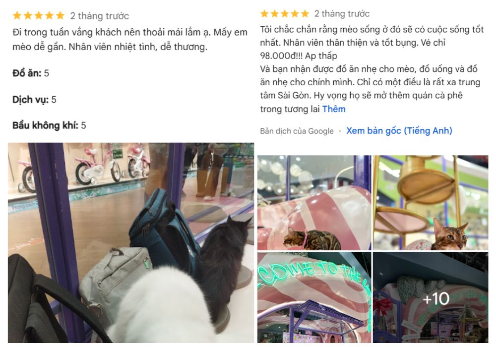 Khách hàng đánh giá tích cực về CATFE Petemo Bình Tân