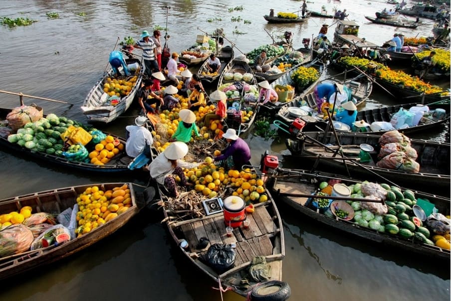 Sắc màu trái cây miền Tây rực rỡ trên chợ nổi