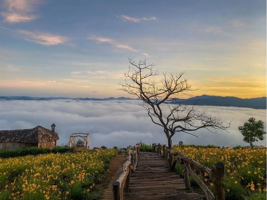 View from the mountain of Da Lat, Lam Dong Province