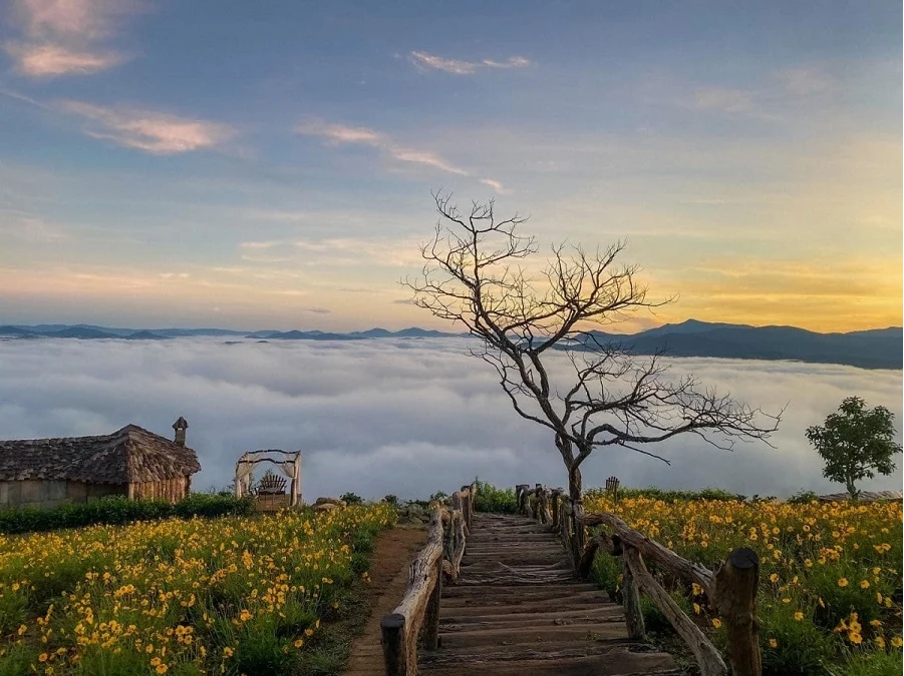 View from the mountain of Da Lat, Lam Dong Province. 